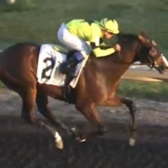 Takafumi (Midshipman) criação Haras Santarém estréia com vitórias nos EUA