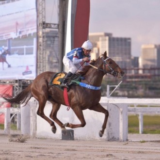 Tiger of Joy pensionista do Santarém volta a vencer em CJ