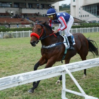 Thara e Tácio vencem em CJ