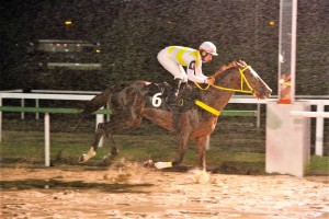 Verdi di Giuseppe 03.08