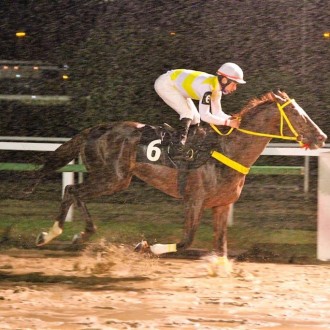 Verdi di Giuseppe criado Santarém como pensionista vence a 7ª na Gávea, Surprising faz 2º em Grupo 3 em CJ