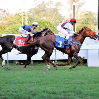 Barbara Mel (Tiger Heart) pensionista do Hs Santarém vence a 3ª na Gávea