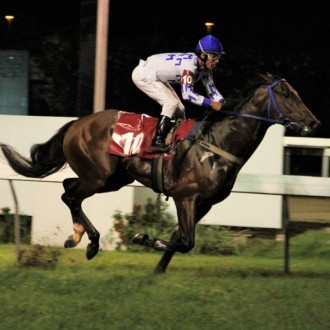 Royal Ship criado no Santarém vence na Gávea