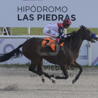 Back Reason criada no Santarém vence na estréia em Las Piedras