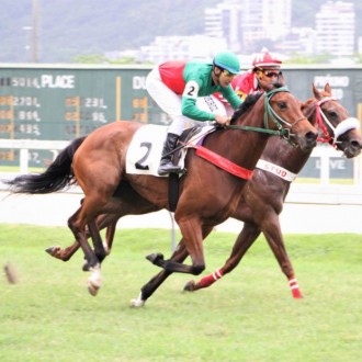 Giulietta Bella de Paulo Rodolfo Fischer vence na Gávea