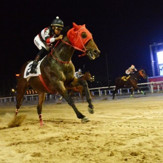 Qing Yuan criação Santarém vence a 5ª carreira