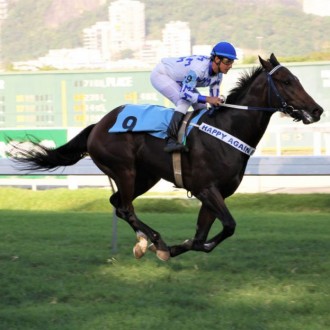 Royal Ship vence como craque na Gávea, foi nascido e criado no Santarém