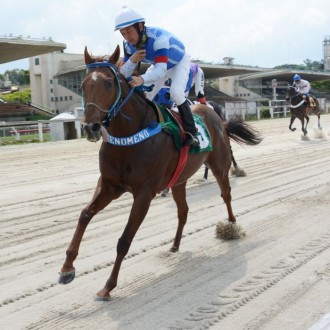 Tiger of Joy (Tiger Heart) vence de novo em Cidade Jardim