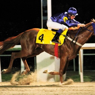 Yevgueni Oneguin criado no Santarém para Hs Tributo à Ópera vence na Gávea