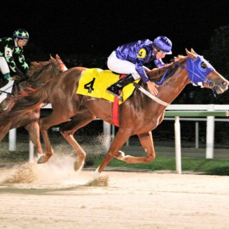 Yevgueni Oneguin criado no Santarém vence novamente na Gávea