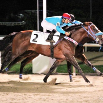Regnum (Pioneering) criação do Santarém vence na Gávea