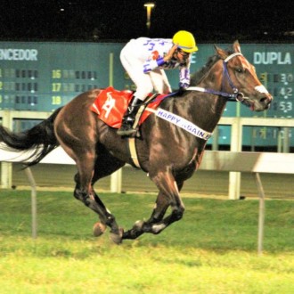 Royal Ship criado no Santarém vence Listed na Gávea