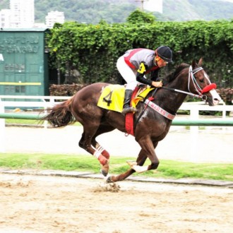 TEL e URESHI ambos criação do Haras Santarém vencem na Gávea