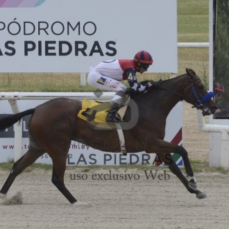 Back Reason continua invicta no Uruguai