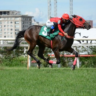 Got Court vence na estréia e dá excelentes esperanças na produção do reprodutor Courtier