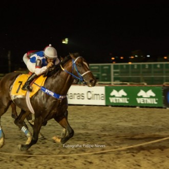 Royal Forestry criado no Santarém vence noretorno as pistas no Tarumã