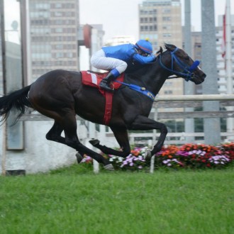 Takashi (Pioneering) criação Haras Santarém vence em Cidade Jardim