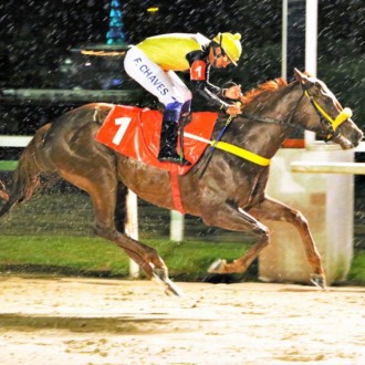 TAMAR (Tiger Heart) vence a 2ª seguida na Gávea