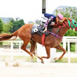 Yevgueni Oneguin vence a 4ª carreira na Gávea