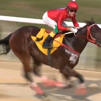 Dashing Court (Courtier) vence o Turfe Gaúcho pára o Haras Cima