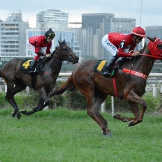 Fast Jet Court vence e confirma esperanças de Courtier
