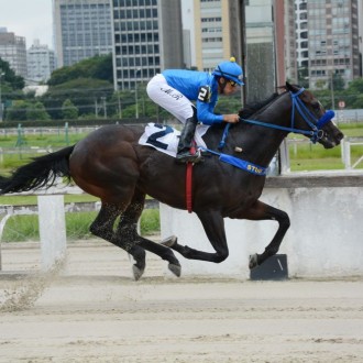 Takashi (Pioneering) vence a 4ª carreira e permanece invicto