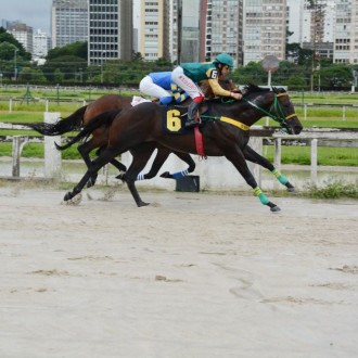 XAXEXIXOXU vence a 8ª carreira