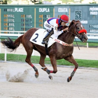 Barbara Mel (Tiger Heart) vence a 5ª na Gávea