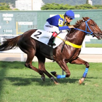 Marumby (Pioneering) recriado no Santarém vence a 4ª na Gávea