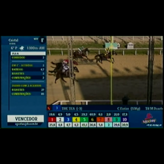 Nergy of Tiger vence no Cristal