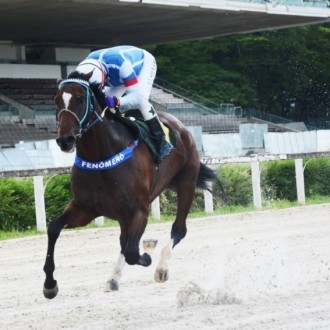 Royal Forestry criado no Santarém vence Prova Especial Dark Brown