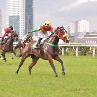 Surprising recriada e vendida pelo Hs Santarém vence prova de Grupo 2 em CJ