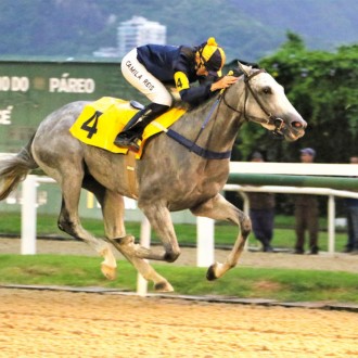 Santarém faz dupla com Ureshi e Señor de Orgaz e trifeta com Khodynka, Barbara Mel e Risolutezza em páreos de Gávea