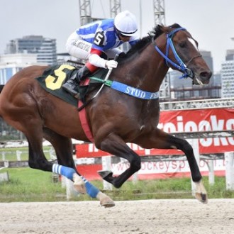Royal Forestry criado no Santarém vence G3 confirma que é o melhor na areia em distâncias longas