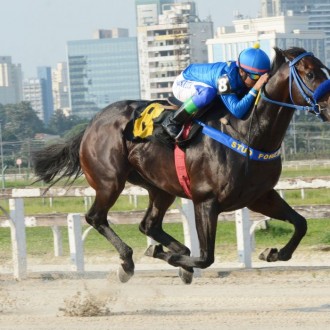 “Japonês Voador” Takashi vence 6ª carreira na Prova Especial Renato Junqueira Netto e permanece invicto
