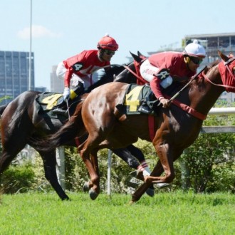 Fast Jet Court e Got Court, ambas filhas de Courtier fazem dupla em prova de Grupo 3 em CJ