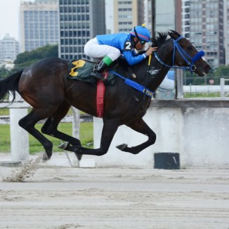 “Japonês Voador” TAKASHI vence novamente e permanece invicto em 7 carreiras, Symbolus também do Santarém na dupla