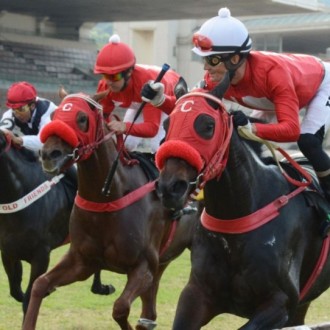 Filhos de Coutier dominam Provas Clássicas em CJ, Got Court e Fast Jet Court em Grupo 2 e Dashing Court em Listedt