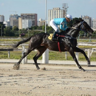 Seawind (Courtier) criado no Santarém para Paulo Fischer vence com autoridade