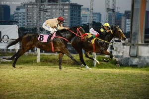 Terra de Campeões 29.05