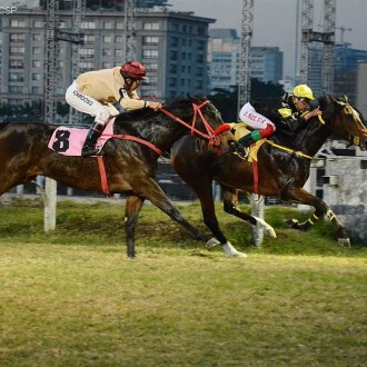 Terra de Campeões vence em CJ