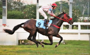 American REason 07.06