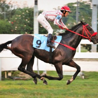 American Reason volta a vencer