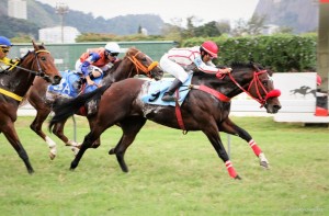 American Reason 29.06