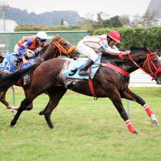American Reason repete vitória na Gávea