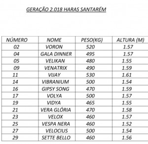 Haras Santarém - medidas potros 2018