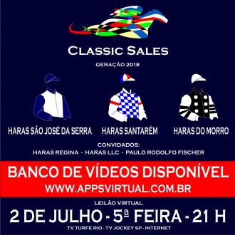 Leilão Classic Sales – Haras Santarém / Paulo Rodolfo Fischer – potros estarão prontos para visitas em CJ dia 25/06 – pesos e altura