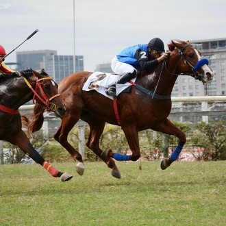 Ultimate Warrior vence fazendo dupla com Grande Kiko