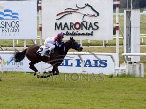 BAck REason 12.07 chegada