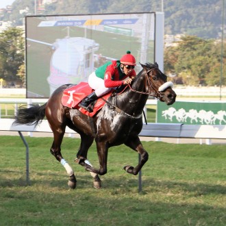 Octane recriada no Santarém vence a Prova Especial Tirolesa na Gávea